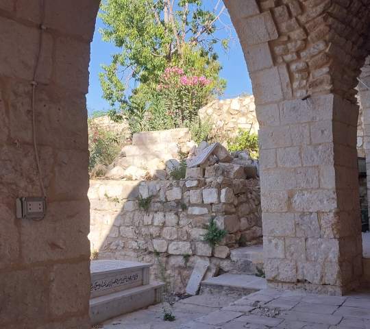مشروع عالمي ينطلق من جبل عامل 
