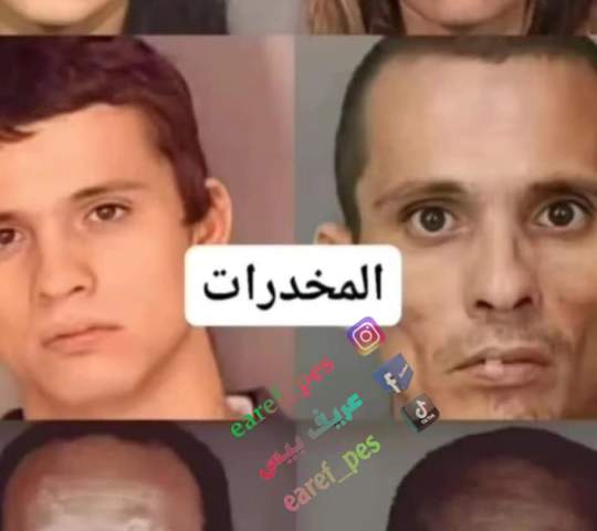 *العقل البشري مهدّد بالانقراض والحل في الرجوع الى الفطرة والبساطة* 