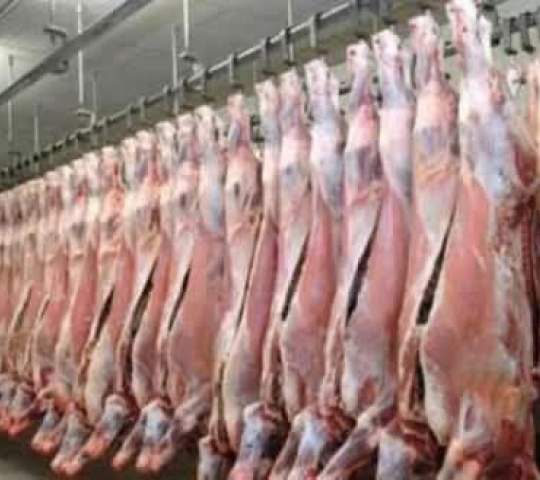 تيسير الوضع المعيشي والأولويات المعيشية